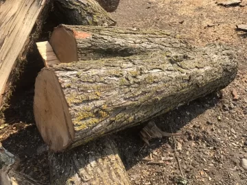 [Hearth.com] Wood ID help...Is this Red Alder
