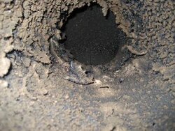 Expert help despiratly needed: Why can't I solve the creosote problem?