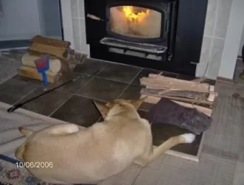 [Hearth.com] LAZY DOG!