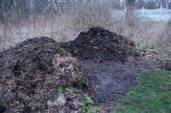 Composting Made (Relatively) Easy