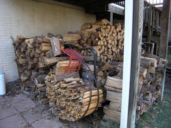 I just bought a cord of wood, but it's damp and hisses when I burn it. What can I do?