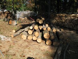 Found some log length in small loads