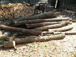 Found some log length in small loads