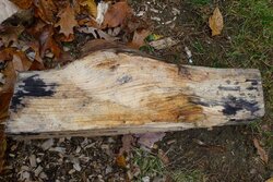 Wood ID - black stains on splits