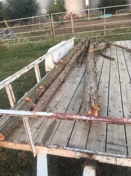 [Hearth.com] New wood shed build