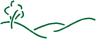 forest.gif forest.gif