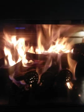 [Hearth.com] First Burn in the Ideal Steel