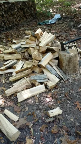 [Hearth.com] Not bad for an hour in the piles.
