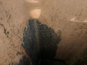 [Hearth.com] Is this too much creosote?