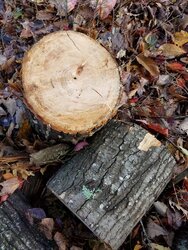 Firewood identification help please