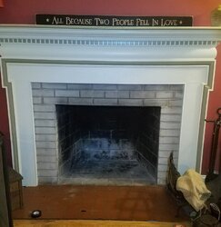 Wood stove in fireplace