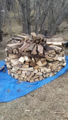 [Hearth.com] My first holzhausen