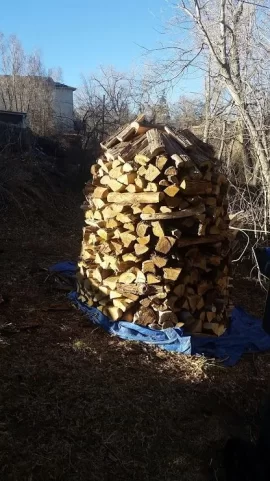 [Hearth.com] My first holzhausen