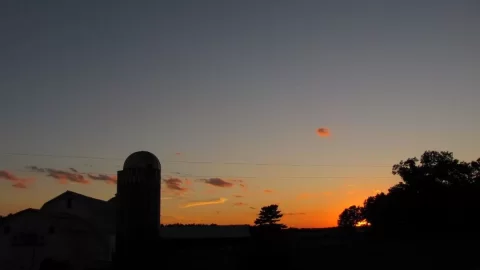 [Hearth.com] The Alien Craft That Landed in Our Hayfield and Other Miscellaneous Photos!
