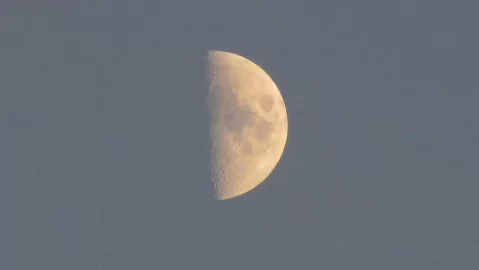 [Hearth.com] The Alien Craft That Landed in Our Hayfield and Other Miscellaneous Photos!