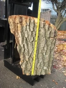 [Hearth.com] Blue Max log splitter 20 ton 6.5 HP $999