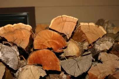 Firewood Facts Hearth Com Forums Home