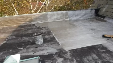 [Hearth.com] Flat roof