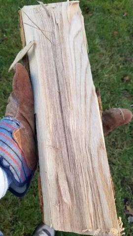 [Hearth.com] Wood ID Help - Southern CT