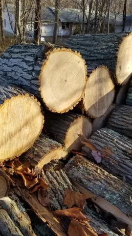 [Hearth.com] Wood ID Help - Southern CT