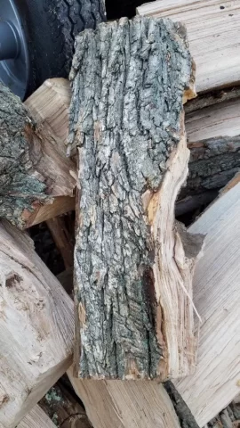 [Hearth.com] Wood ID Help - Southern CT