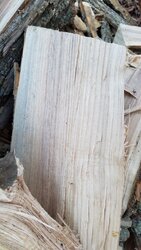 Wood ID Help - Southern CT