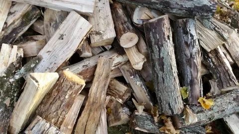 [Hearth.com] Hickory ID?