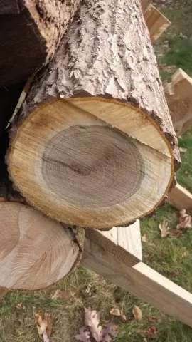 [Hearth.com] Wood ID