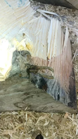 [Hearth.com] Sparks while cutting