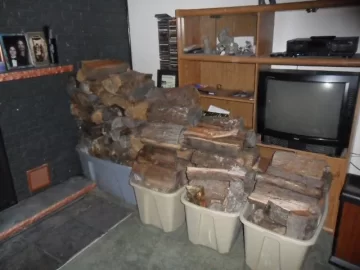 wood storage.JPG