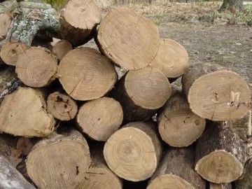 [Hearth.com] Gotta love locust!!