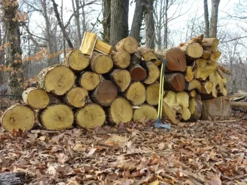 [Hearth.com] Gotta love locust!!