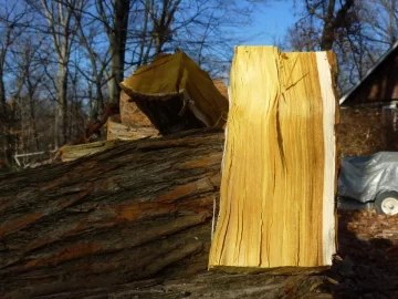 [Hearth.com] Gotta love locust!!