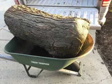 [Hearth.com] Gotta love locust!!