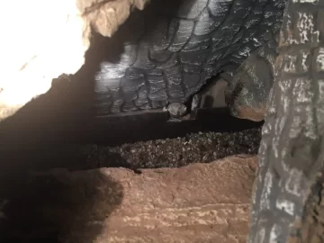 [Hearth.com] Heat and glow woes.