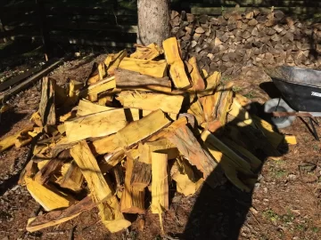 [Hearth.com] Is this Hedge?