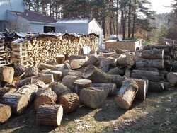 A lot of ash(Update: spent a couple hours splitting today)