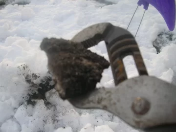 [Hearth.com] Again With Pics...
