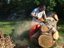 Best way to buck large logs?
