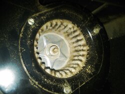 The on going saga of why is this stove having problems.  Pic attached
