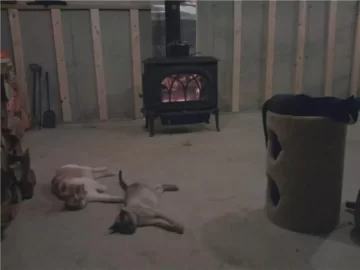 [Hearth.com] RE: Someone who likes the heat from the woodstove more than I do
