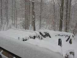 2009 snow 1.jpg