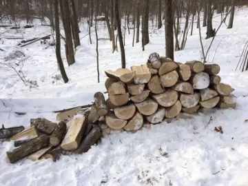 [Hearth.com] Does slabwood dry faster?