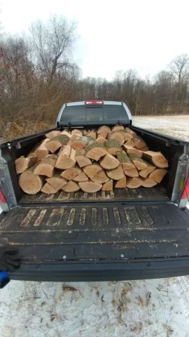 [Hearth.com] Standing dead red oak score