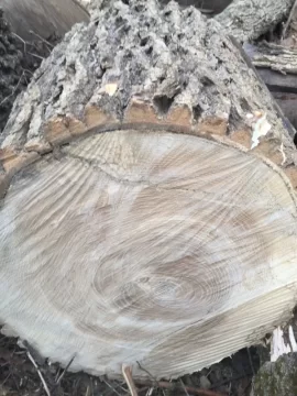 [Hearth.com] Wood ID