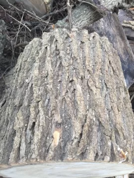 [Hearth.com] Wood ID