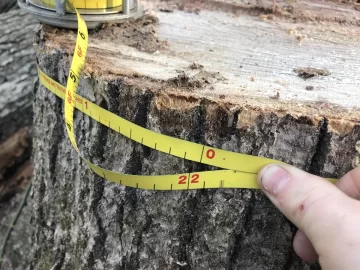 [Hearth.com] A beautiful morning for wood