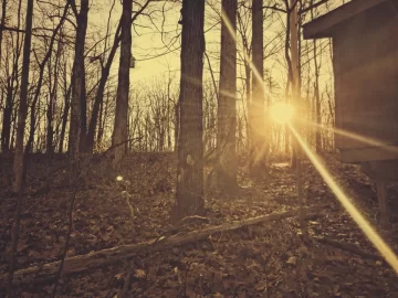 [Hearth.com] A beautiful morning for wood