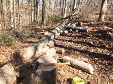 [Hearth.com] A beautiful morning for wood