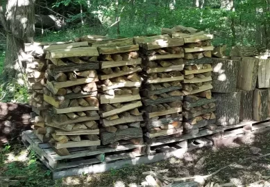 [Hearth.com] Getting wood dry enough for next season